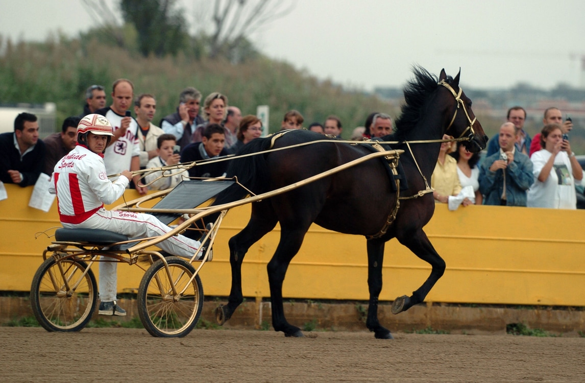 Addio a Varenne, il cavallo più forte nella storia del trotto