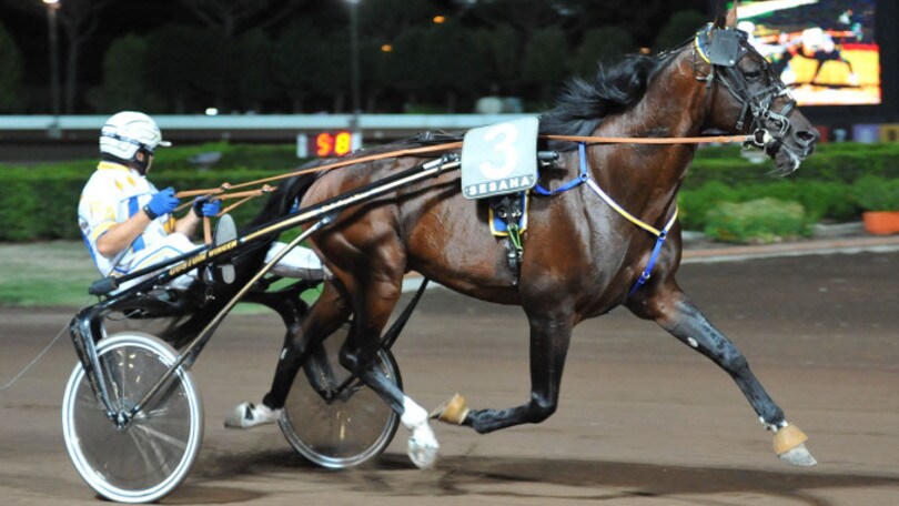 Ippica, Roberta Zack in pole per la TQQ