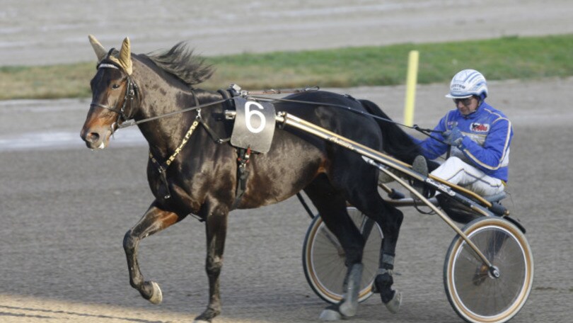 Ippica, Montegiorgio in primo piano