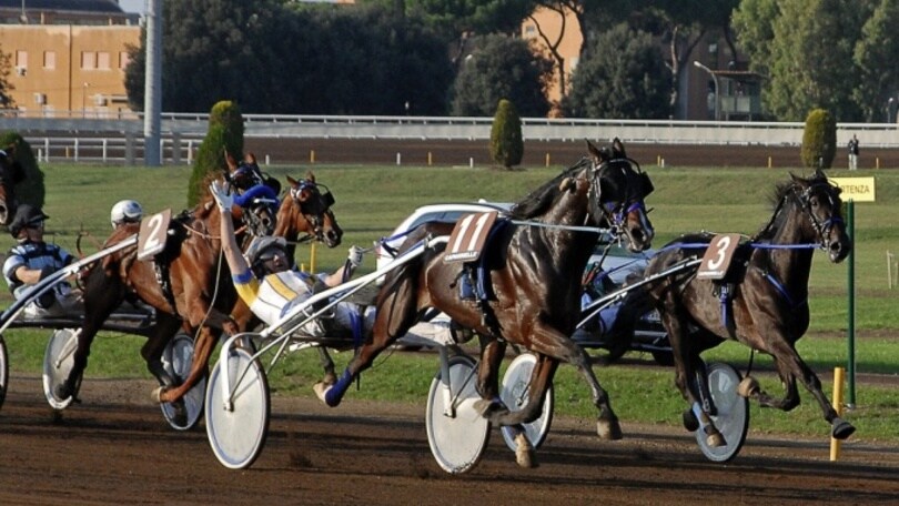 Ippica, estratti i numeri del GP Orsi Mangelli