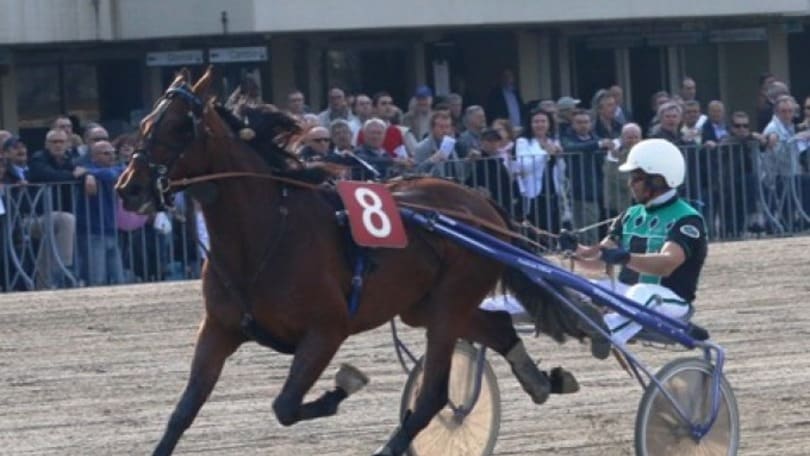 Ippica, in 16 a Modena nel GP Giovanardi