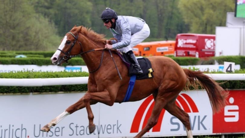 Ippica, Graasten dalla Germania al Derby