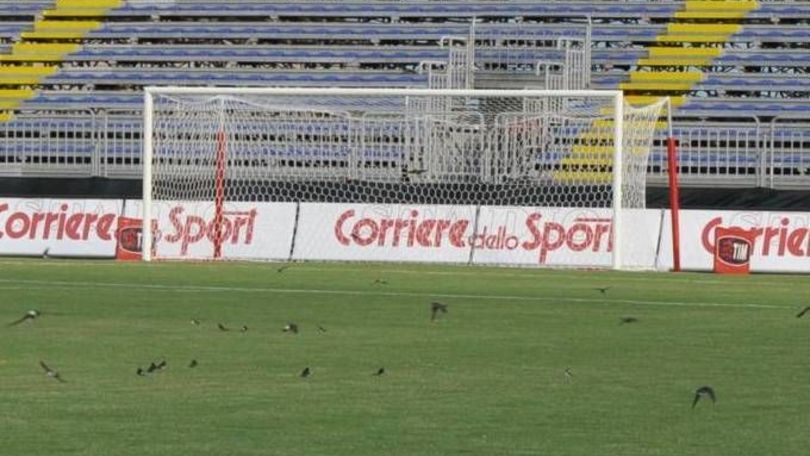 Civitavecchia, entusiamo per il Pulcino d'oro