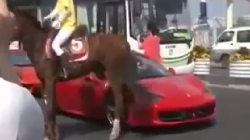 Cavallo prende a calci una Ferrari