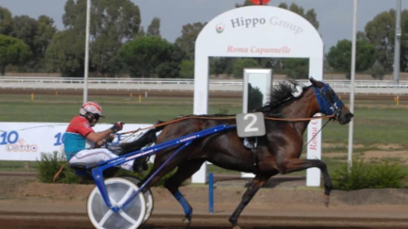 Ippica, rinviato il GP a Trieste