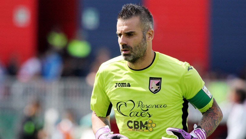 Sorrentino: «Palermo, stagione positiva»