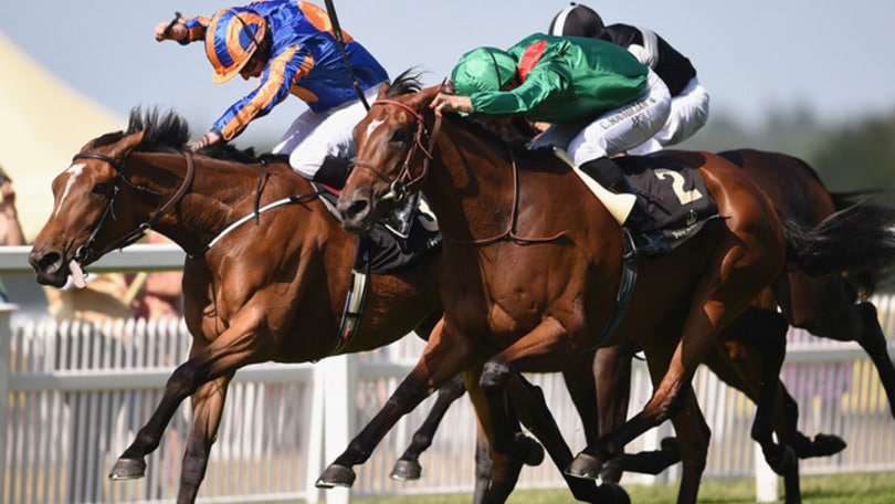 Ippica, Royal Ascot: fa festa l'Aga Khan