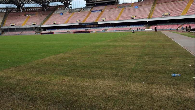 Napoli, le foto dell'erba del San Paolo rovinato dai pannelli per Vasco