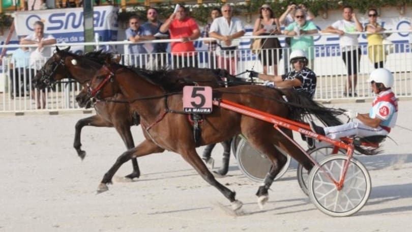 Ippica, Tuscania Pal nel Nazionale Filly