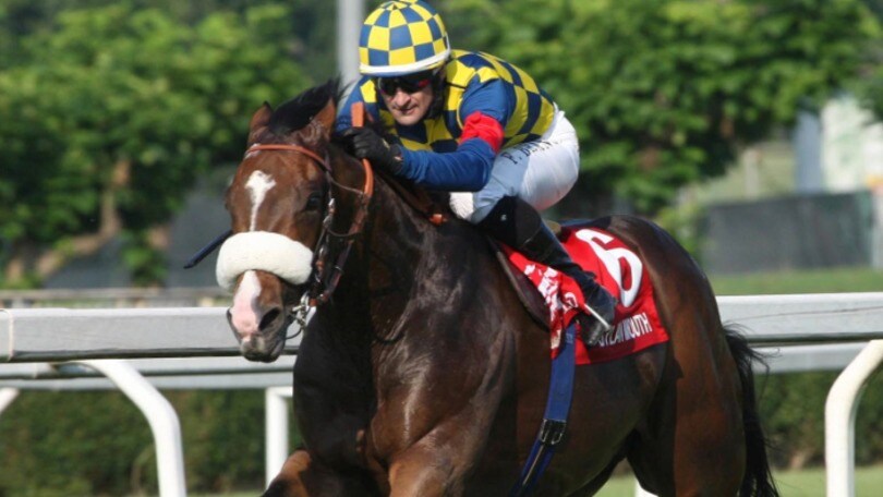 Ippica, ancora sedici nelle King George