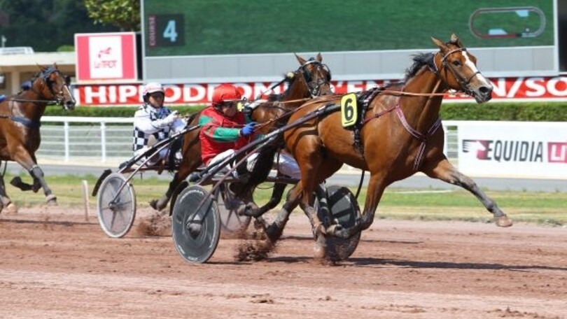 Ippica, una trio italiana nel Prix de Bruxelles