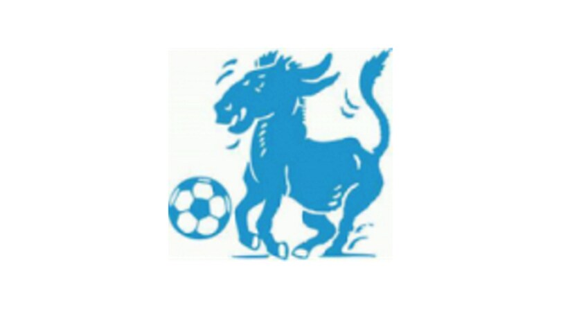 Sant'Agnello, arriva l'ok dalla Co.Vi.Soc.D