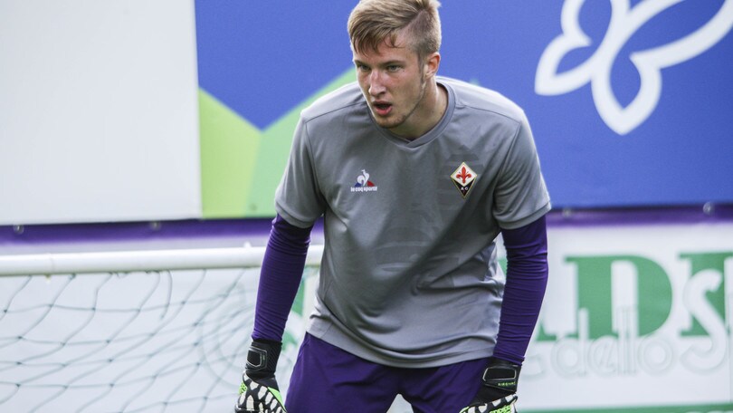 Calciomercato Taranto, ufficiale Makarov dalla Fiorentina