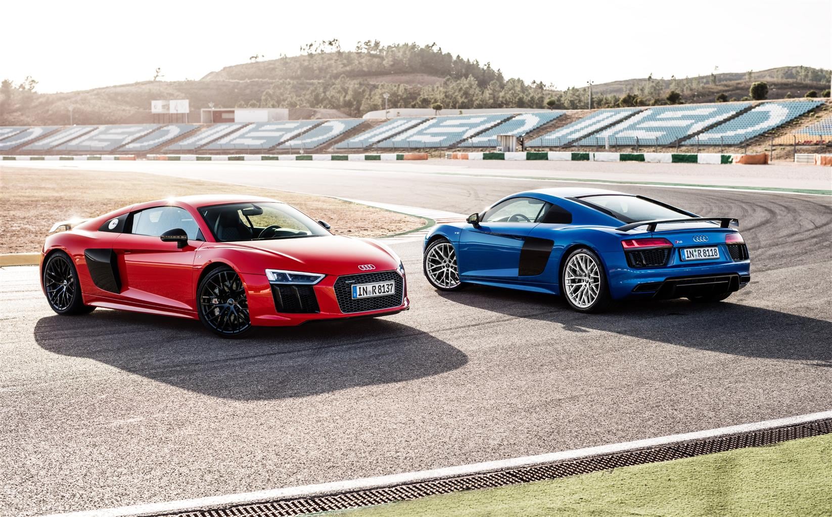 Audi R8 V10 Plus: “belva” da 610 cv e 330 km/h