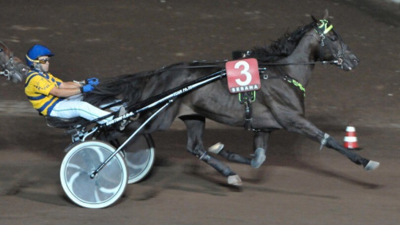 Ippica, Timone Ek domina a Montecatini