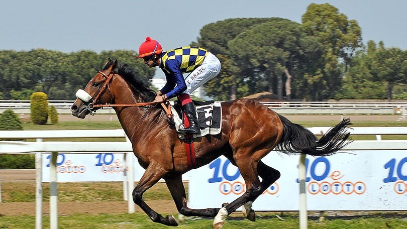 Ippica, rimasti in 11 nelle King George