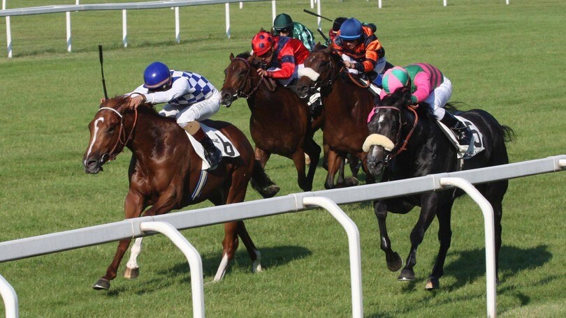 Ippica, qualche dubbio per Ottone al Papin