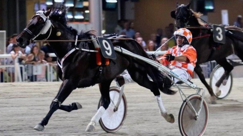 Ippica, avanzano Gubellini e Vecchione