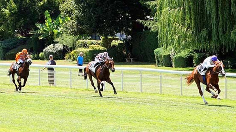 Ippica, Baciami Piccola seconda in listed