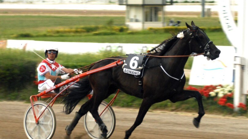 Ippica, tre italiani nella Breeders Course