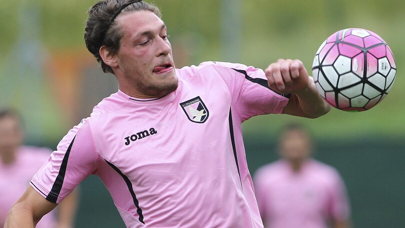 Bologna, idea Belotti per il reparto offensivo