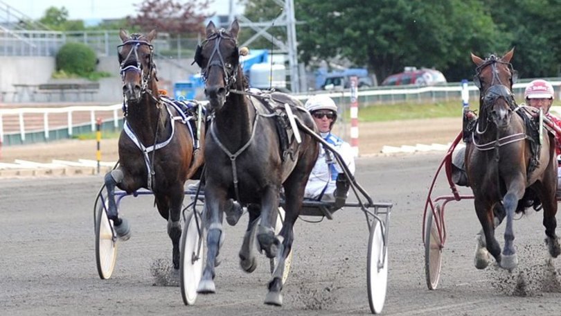 Ippica, Tango Negro nella Breeders Course