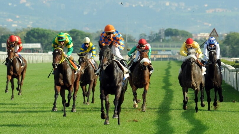 Ippica, all'estero anche Omaticaya