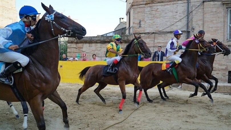 Ippica, finalmente un Palio senza misteri