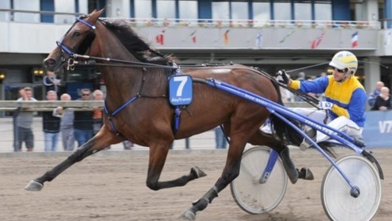Ippica, al Garigliano brilla Troja d'Asolo