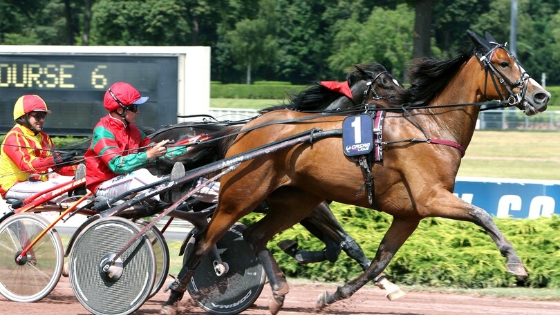 Ippica, Princess Grif dà spettacolo a Mons