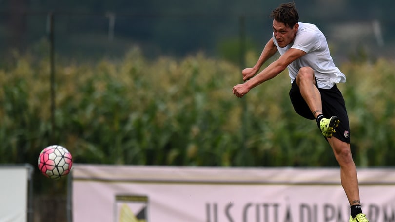 Palermo, nodo attacco. Belotti può finire al Toro