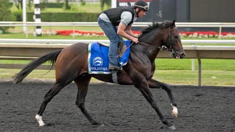 Ippica, Goldstream quarto ad Arlington Park
