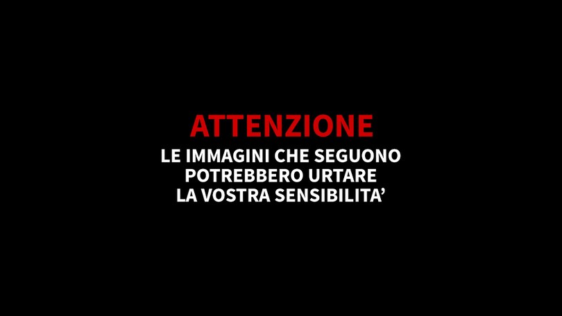 USA, giornalista e cameraman uccisi in diretta tv