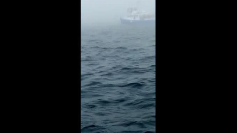 Incredibile sorpresa dal profondo del mare