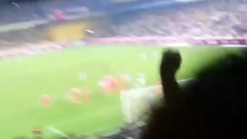 Nani, il gol su punizione visto dai tifosi