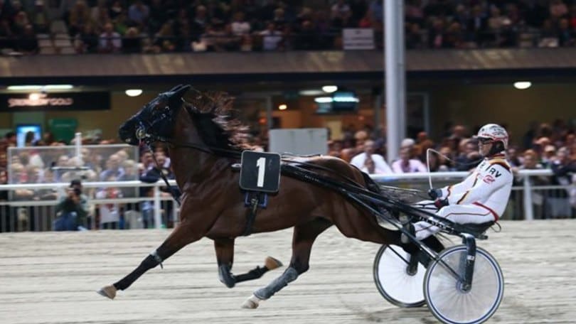 Ippica, sabato a Cesena il Campionato Europeo