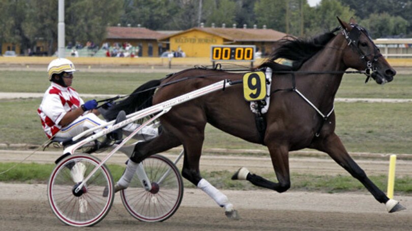 Ippica, nell'Europeo primo round a Olona Ok