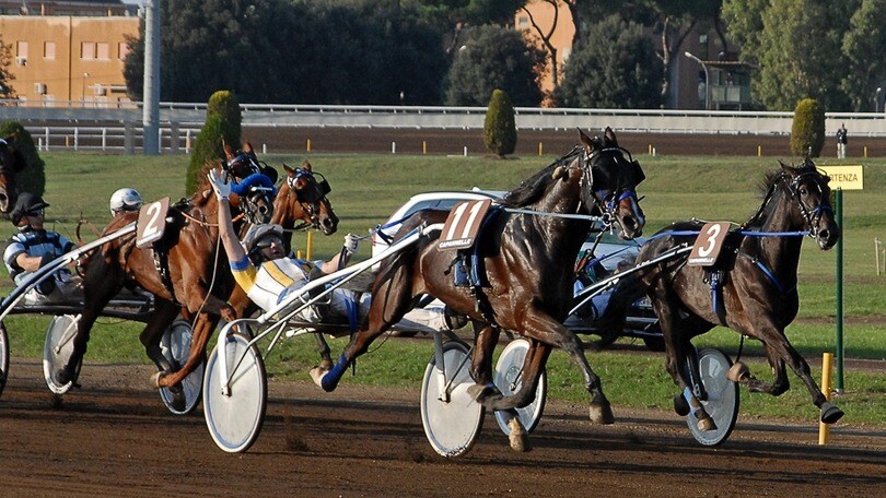 Ippica, Derby di trotto: i partenti diventano 14