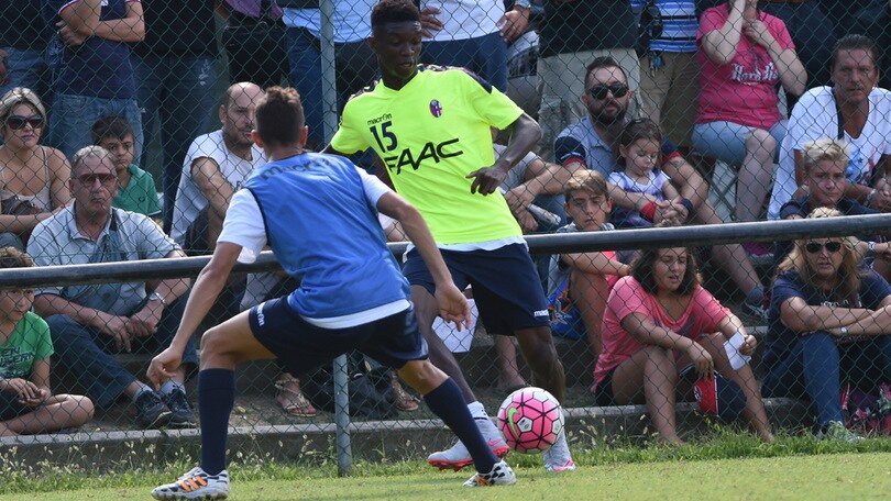 Bologna, è ballottaggio a destra: Mbaye o Crimi