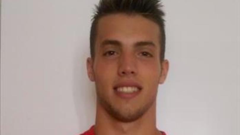 Volley: Superlega, Cottarelli alla corte di Giuliani