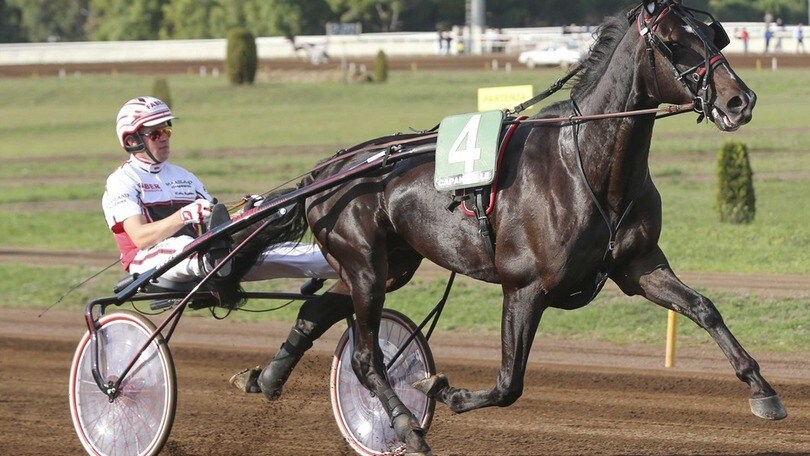 Ippica, per ora Tuonoblu è il Rex del Derby