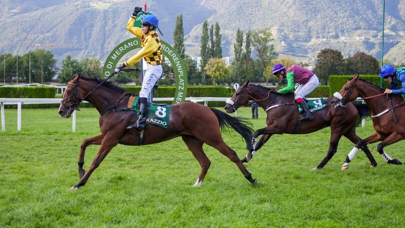 Ippica, Kazzio sigla il GP Merano