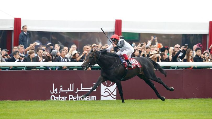 Lanfranco ‘Frankie’ Dettori sceglie caschi Kep Italia