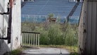 Guardate il Flaminio com'è ridotto FOTO