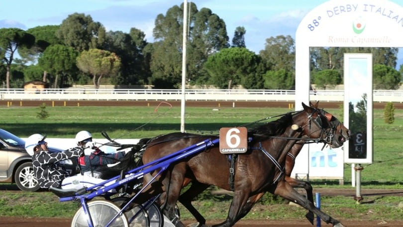 Ippica, Oaks al millimetro per Tuscania Pal