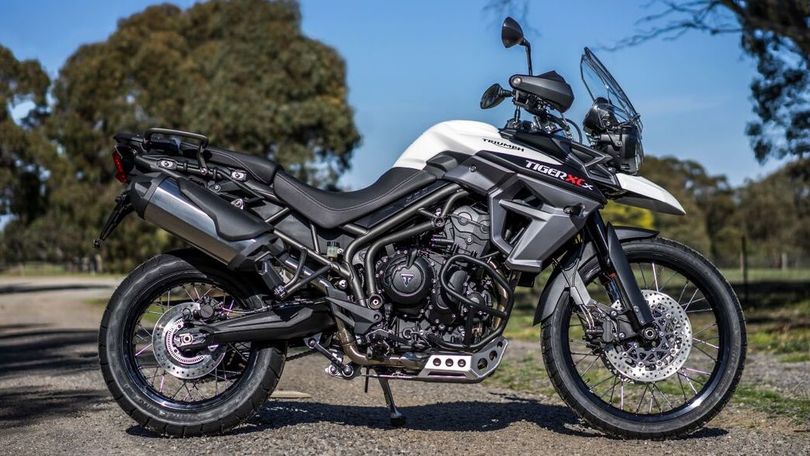 Triumph Tiger 800: arrivano le selle basse