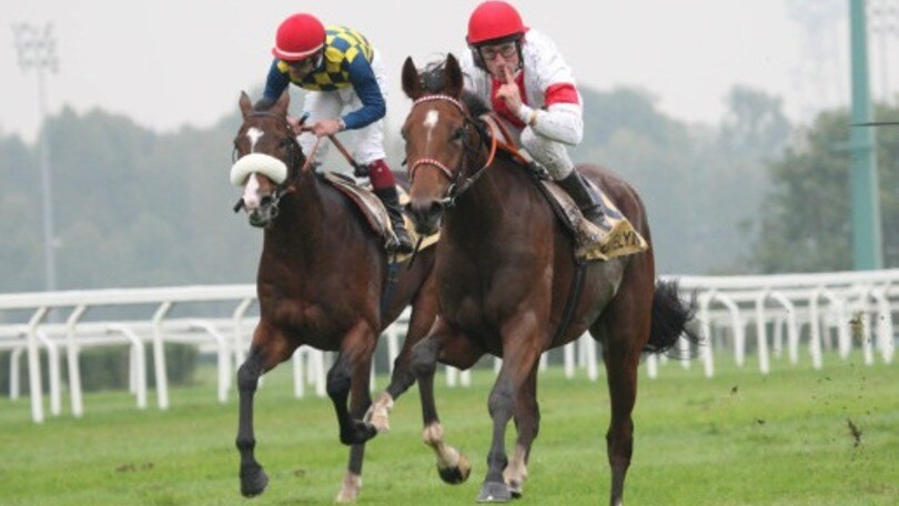 Ippica, Lovelyn nel Jockey Club