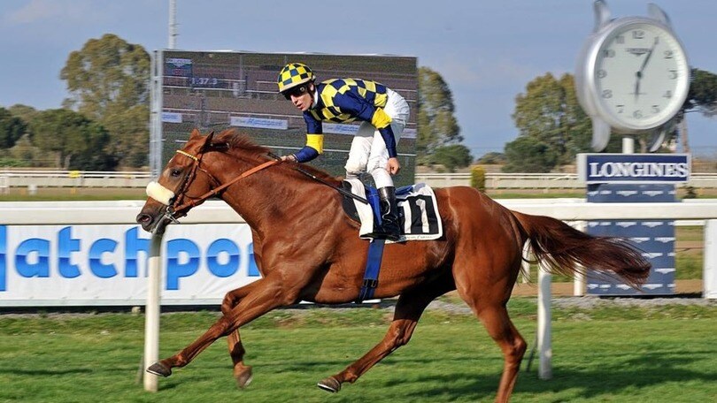 Ippica, otto partenti nel Longines Lydia Tesio