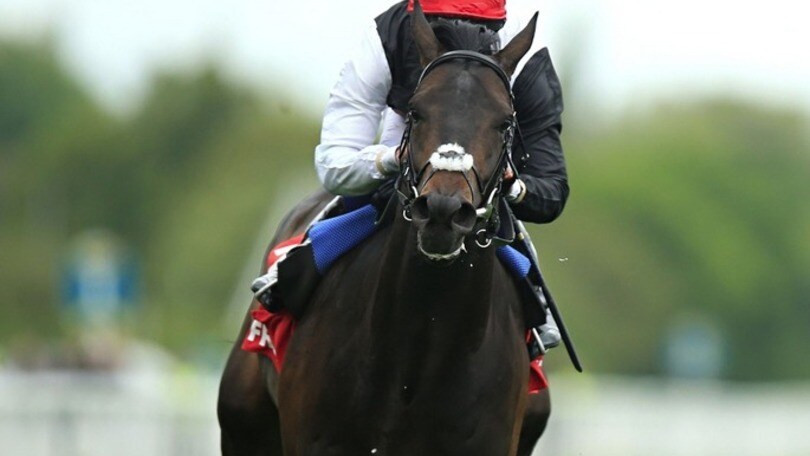 Ippica, sette ingaggi per Dettori nella BC