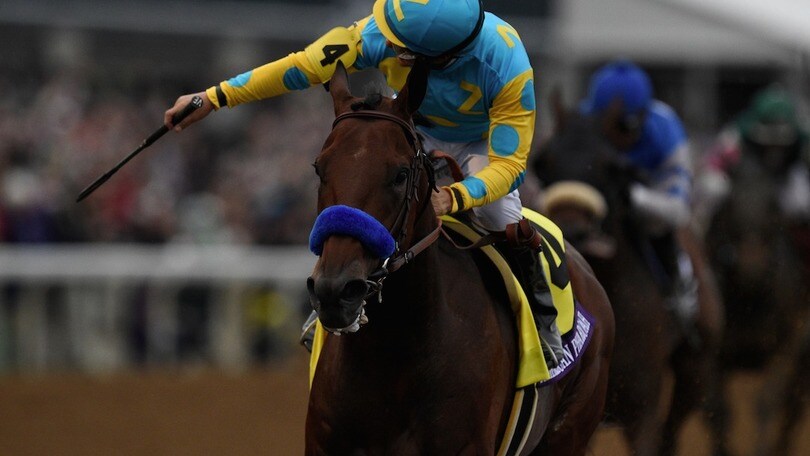 Ippica, Pharoah chiude in bellezza